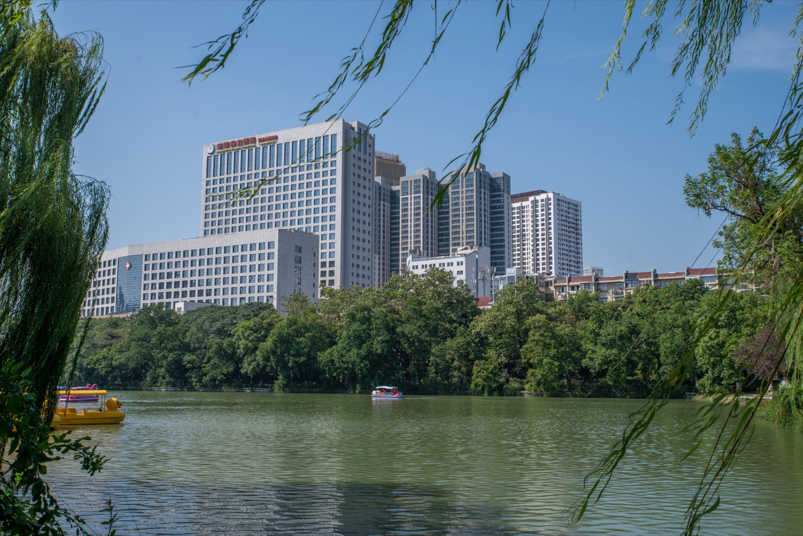 安徽省立医院