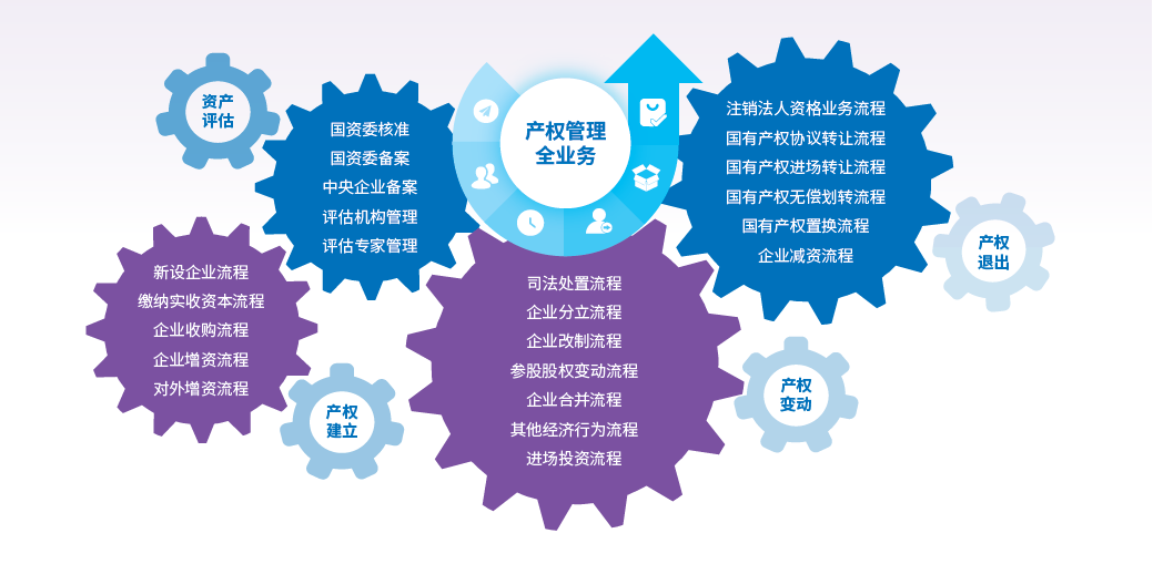 产权管理专项提升方案内容