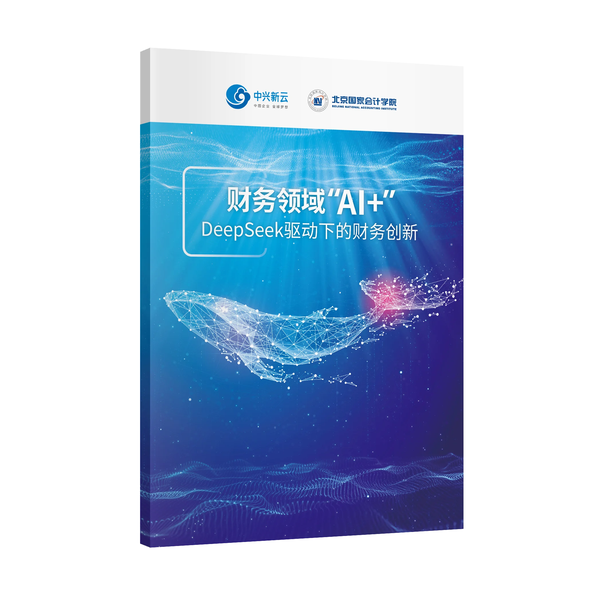 财务领域“AI+”：DeepSeek驱动下的财务创新封面