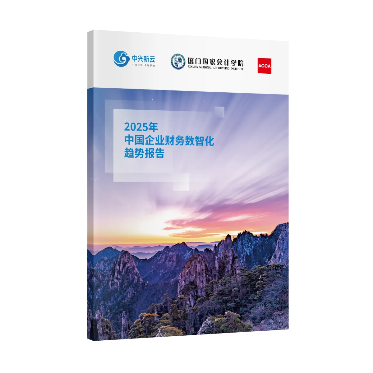 2025年中国企业财务数智化趋势报告封面