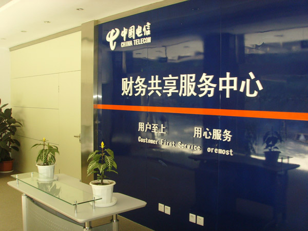 2013年中兴财务共享咨询方法与方案范围