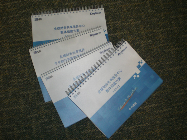 2013年财务共享咨询解决方案资料图