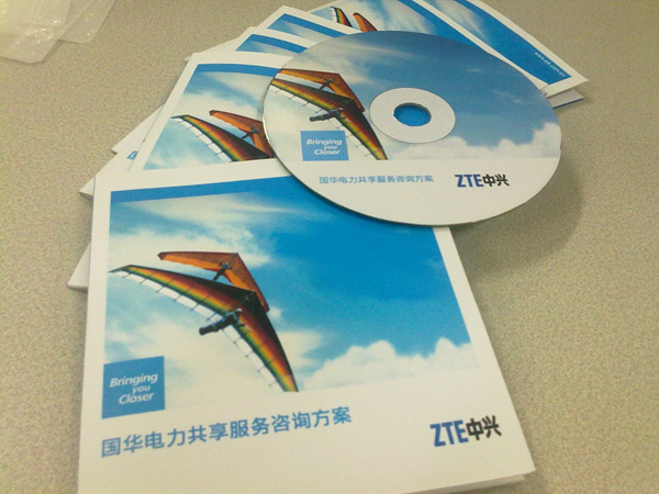 2013年财务共享咨询解决方案资料图