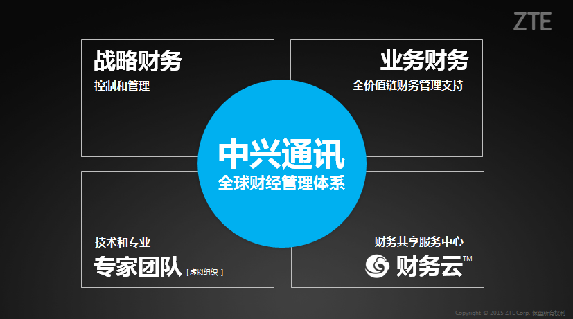 《中兴新云陈虎在EuroFinance峰会分享全球财经管理实践》配图 7