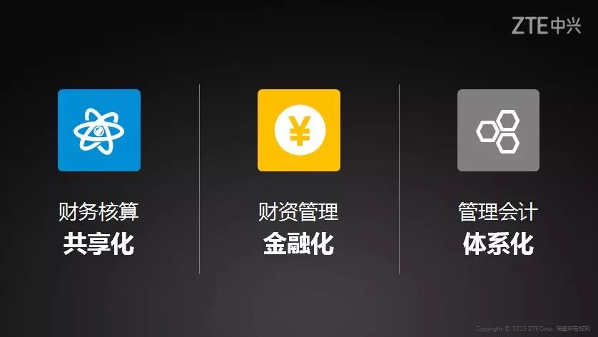《中兴通讯获IMA管理会计特别贡献奖》配图 2