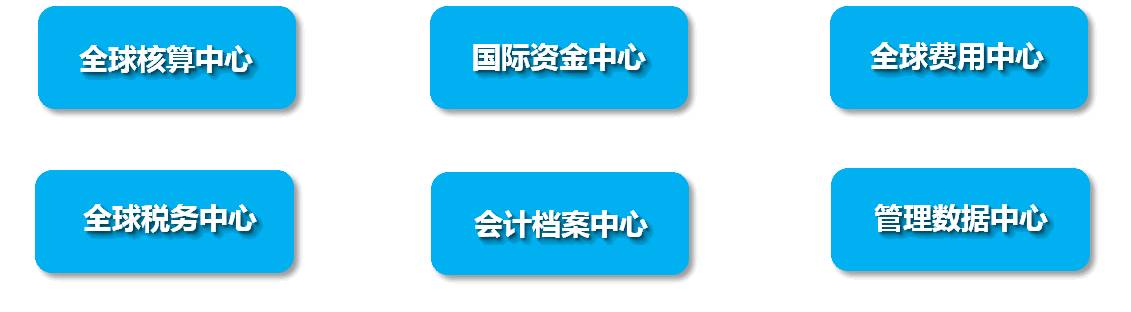 《全球共享服务与中国企业的国际化财务能力》配图 4