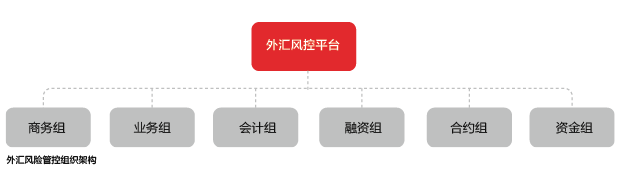 中国外汇丨中兴通讯:外汇风险管理的体系化探索:原文配图