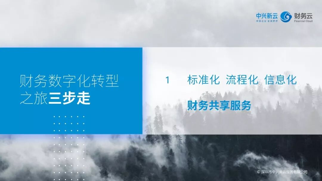 《财务数字化转型:共享基础、自动化与数据应用》配图 4