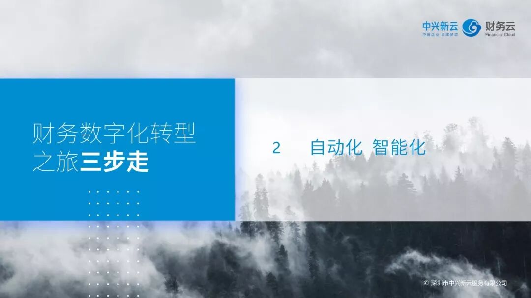 《财务数字化转型:共享基础、自动化与数据应用》配图 10