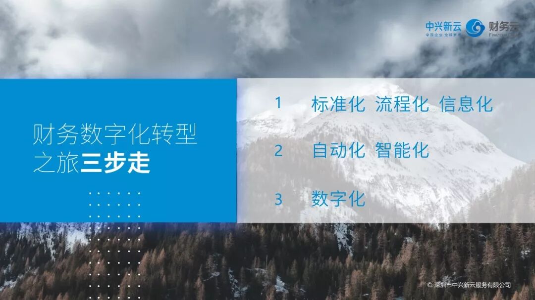 《财务数字化转型:共享基础、自动化与数据应用》配图 29