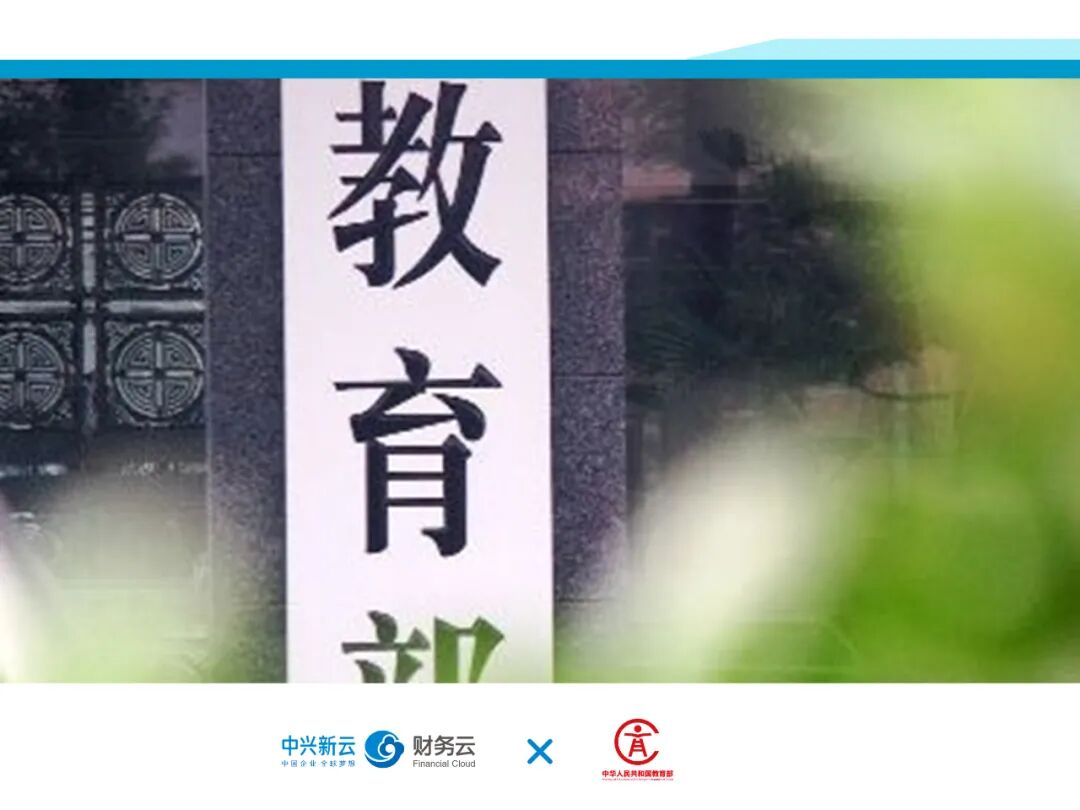 《中兴新云2020年度回顾:客户实践与研究出版》配图 3