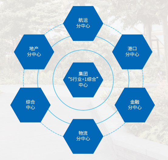 《2022共享服务调研:组织架构与中心选址》配图 5