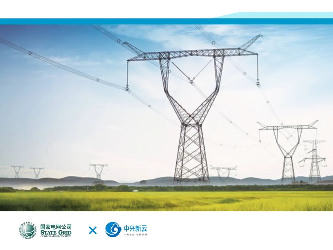 国家电网有限公司(2024年原稿配图)