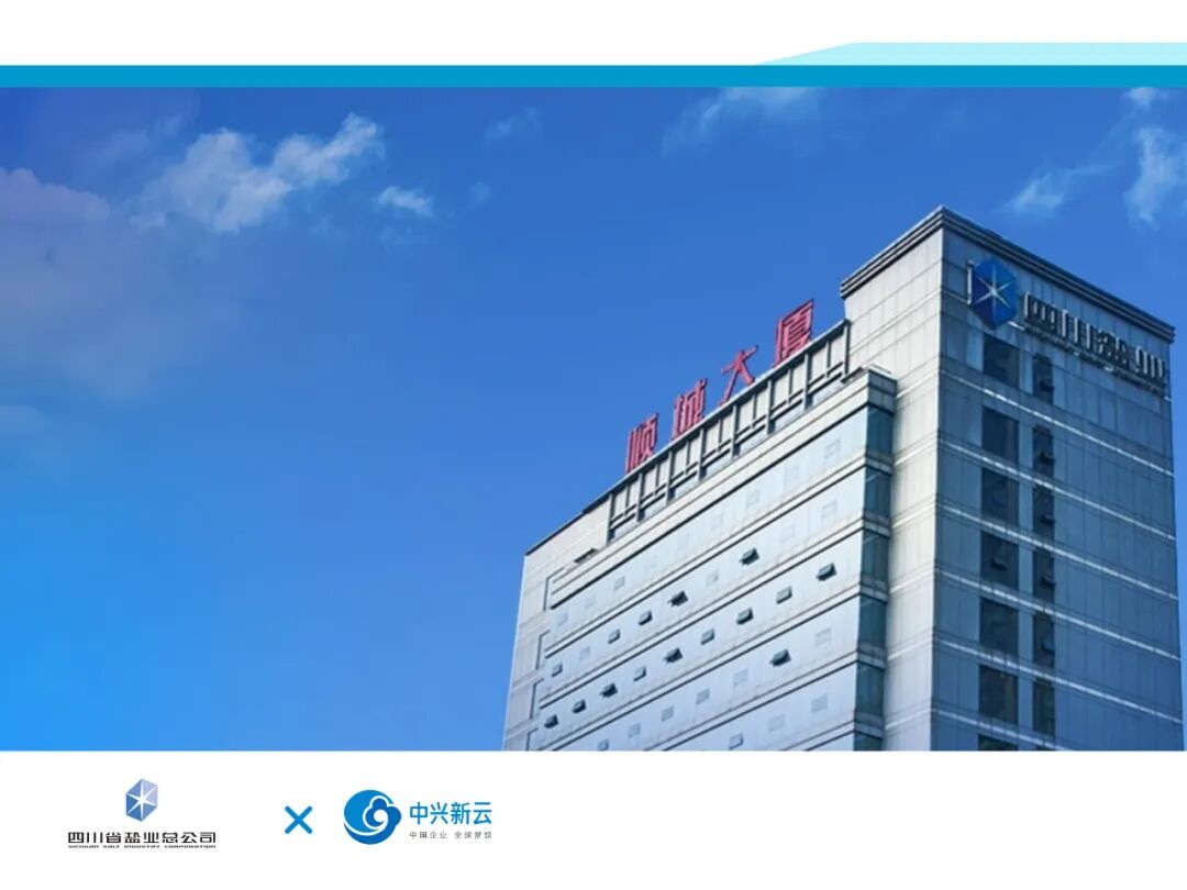 四川省盐业集团有限责任公司(2024年原稿配图)