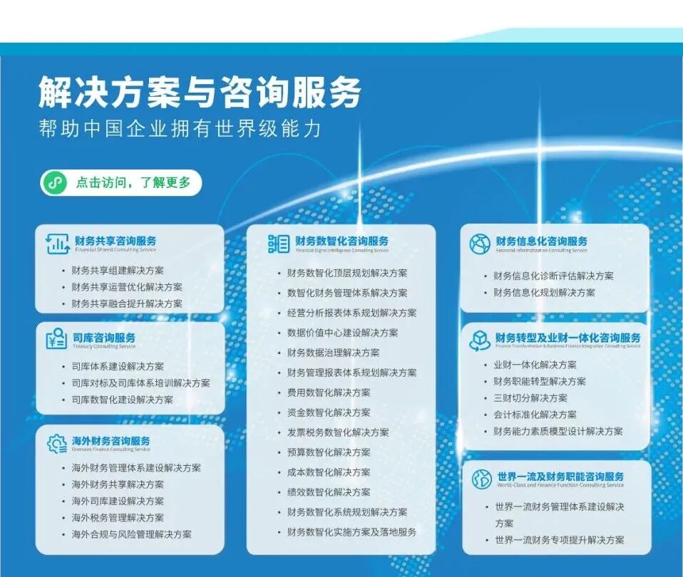 2024年解决方案与咨询服务