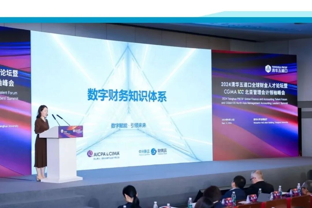2024年数字财务知识体系发布