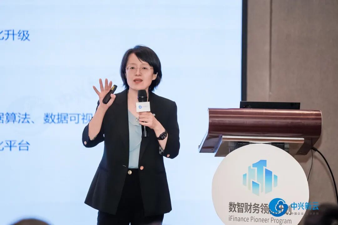 中兴新云高级副总裁 孙彦丛
