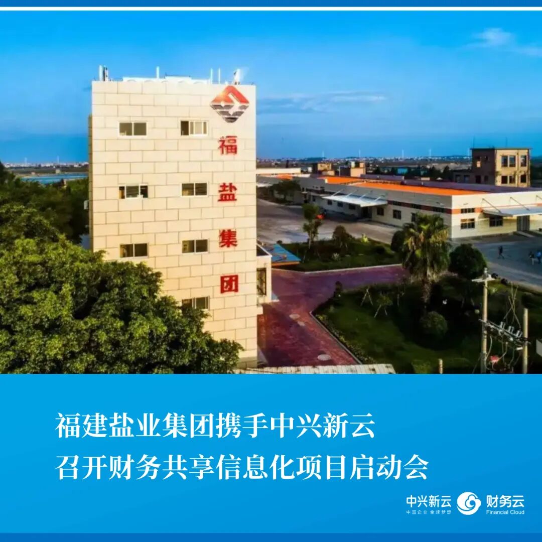 福建盐业集团财务共享信息化项目启动会封面