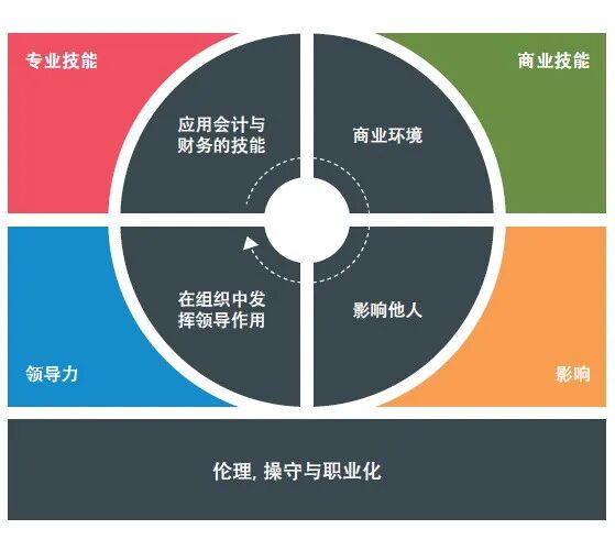 图5 CIMA&AICPA管理会计能力