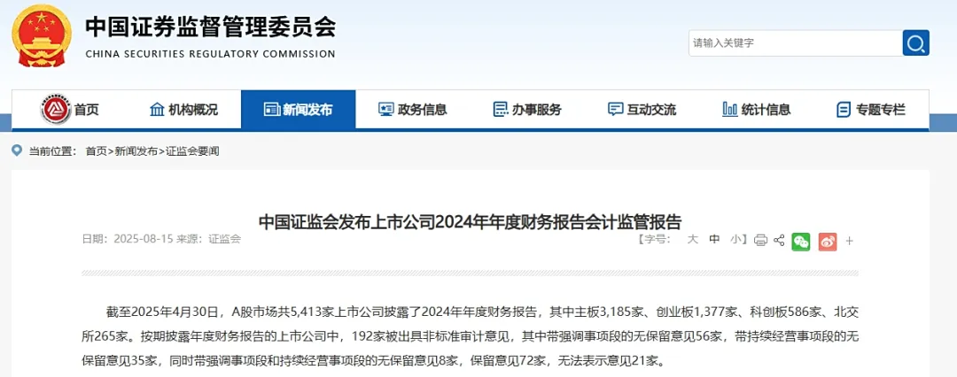 中国证监会《上市公司2024年年度财务报告会计监管报告》 · 图1