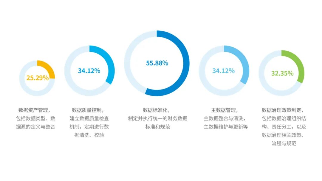 财务共享服务中心负责的数据治理工作