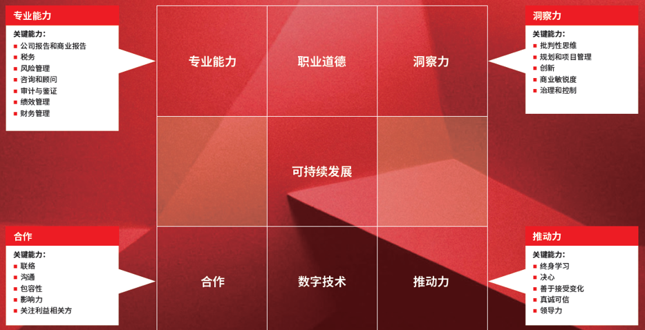 图3 ACCA专业会计师核心素养