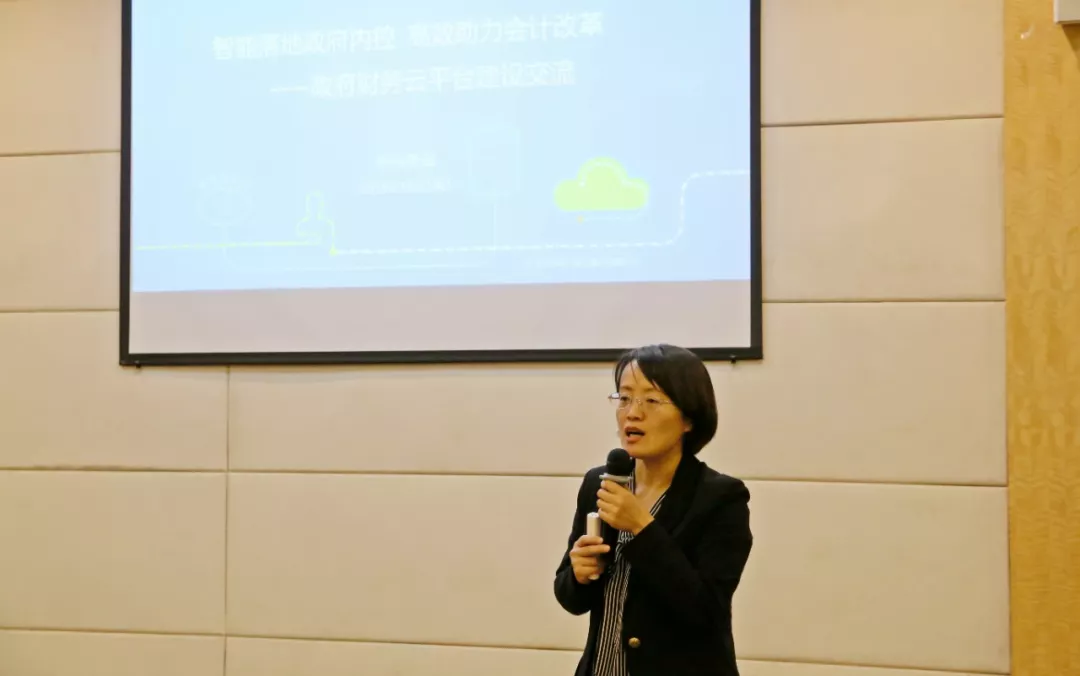 中兴新云高级副总裁，孙彦丛