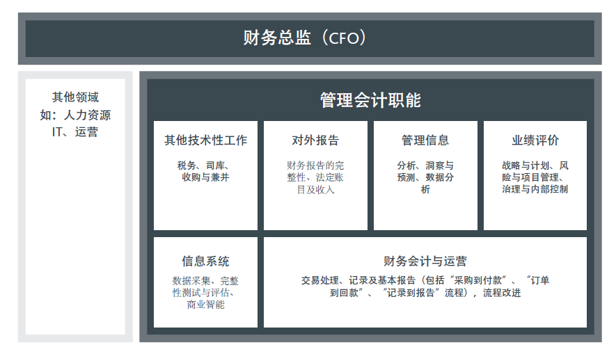 图4 CIMA&AICPA管理会计职能