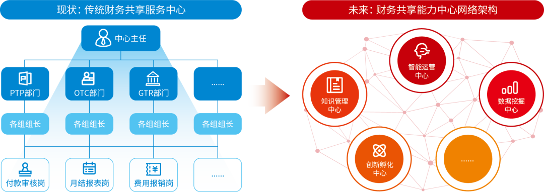图2 财务共享服务中心组织架构发展示例